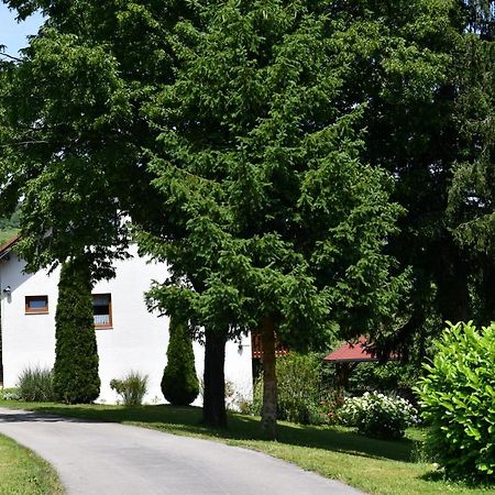 Apartment And Rooms Ivancica Selište Drežničko Eksteriør bilde