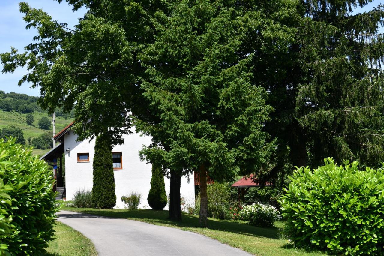 Apartment And Rooms Ivancica Selište Drežničko Eksteriør bilde