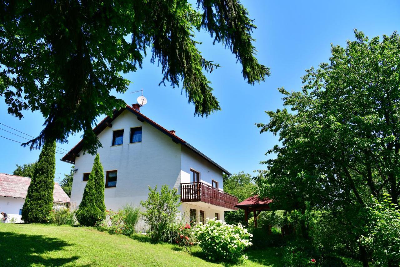 Apartment And Rooms Ivancica Selište Drežničko Eksteriør bilde